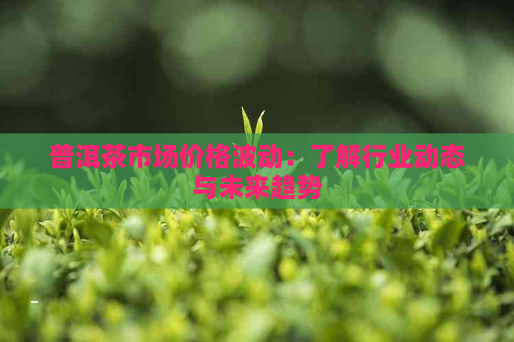 普洱茶市场价格波动：了解行业动态与未来趋势