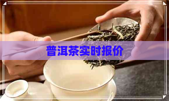 普洱茶实时报价