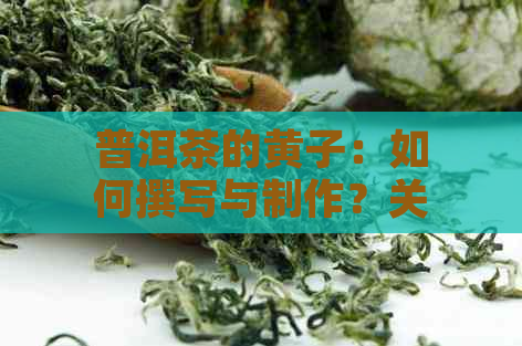 普洱茶的黄子：如何撰写与制作？关于普洱茶的笑话与趣事大全！