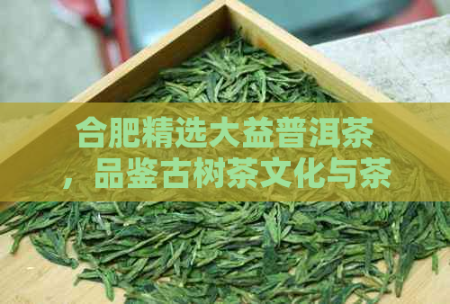 合肥精选大益普洱茶，品鉴古树茶文化与茶艺魅力