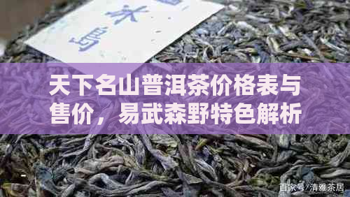 天下名山普洱茶价格表与售价，易武森野特色解析 - 包含所有相关信息