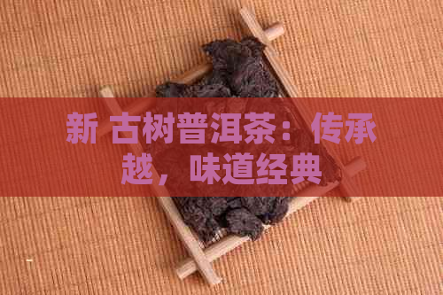 新 古树普洱茶：传承越，味道经典