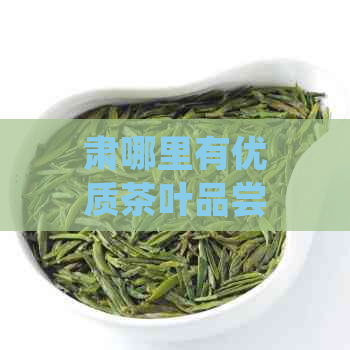 肃哪里有优质茶叶品尝和购买的地点？