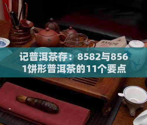 记普洱茶存：8582与8561饼形普洱茶的11个要点