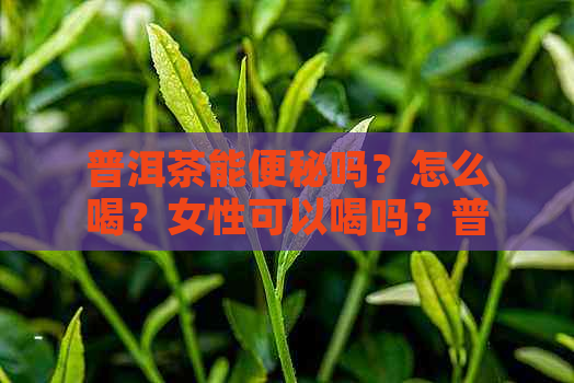 普洱茶能便秘吗？怎么喝？女性可以喝吗？普洱茶对便秘有效果吗？