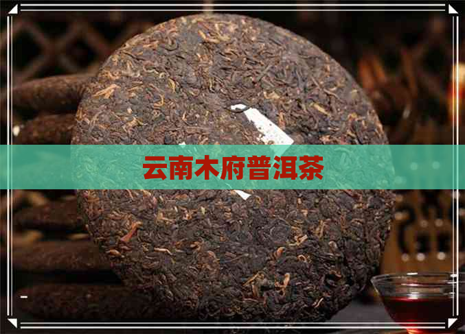 云南木府普洱茶