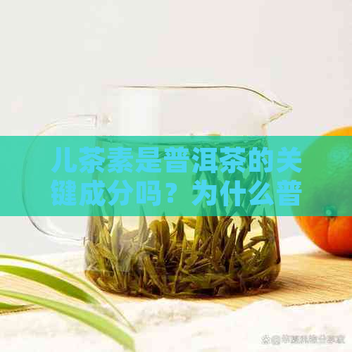 儿茶素是普洱茶的关键成分吗？为什么普洱茶中含量特别高？