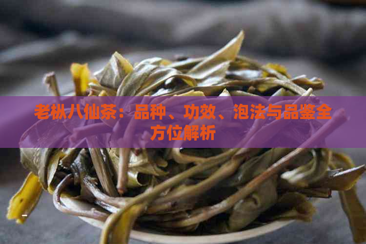 老枞八仙茶：品种、功效、泡法与品鉴全方位解析