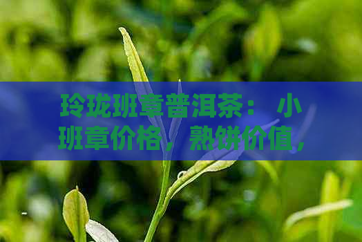 玲珑班章普洱茶： 小班章价格，熟饼价值，古树茶特色，全线产品价位一览