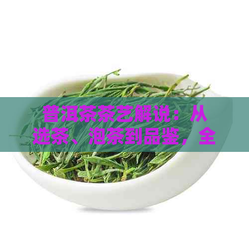 普洱茶茶艺解说：从选茶、泡茶到品鉴，全面掌握普洱茶的品饮技巧和历文化