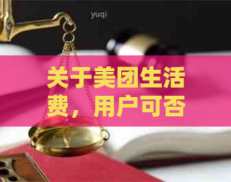 关于美团生活费，用户可否申请期还款三天？详细解答及注意事项