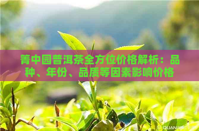 箐中园普洱茶全方位价格解析：品种、年份、品质等因素影响价格