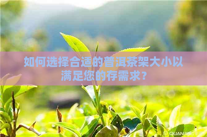 如何选择合适的普洱茶架大小以满足您的存需求？