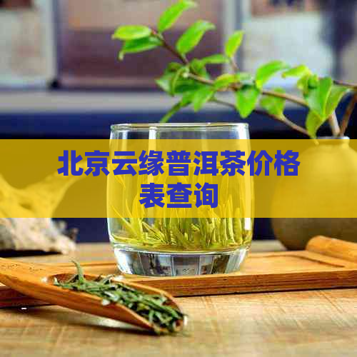 北京云缘普洱茶价格表查询