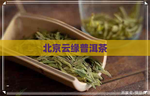 北京云缘普洱茶