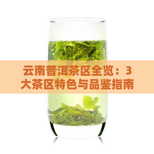 云南普洱茶区全览：3大茶区特色与品鉴指南