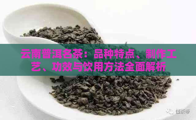 云南普洱名茶：品种特点、制作工艺、功效与饮用方法全面解析