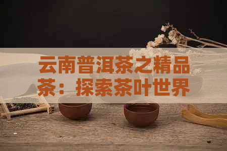 云南普洱茶之精品茶：探索茶叶世界的魅力与风味