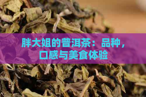 胖大姐的普洱茶：品种，口感与美食体验