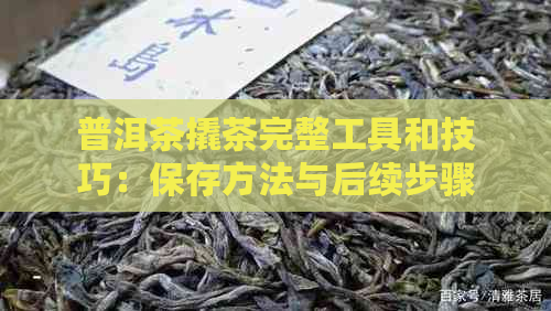 普洱茶撬茶完整工具和技巧：保存方法与后续步骤