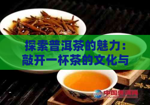 探索普洱茶的魅力：敲开一杯茶的文化与科学