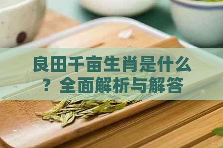 良田千亩生肖是什么？全面解析与解答