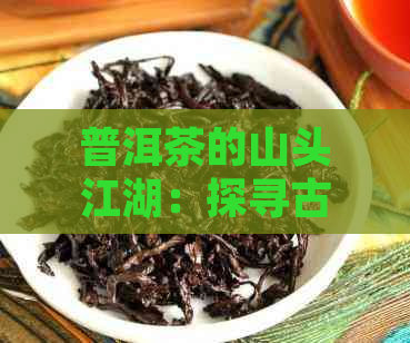 普洱茶的山头江湖：探寻古树、茶香与文化底蕴