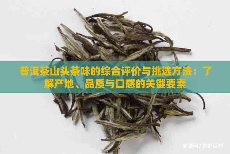 普洱茶山头茶味的综合评价与挑选方法：了解产地、品质与口感的关键要素