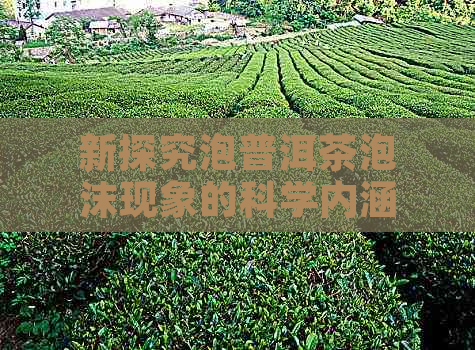 新探究泡普洱茶泡沫现象的科学内涵及对茶叶品质的影响