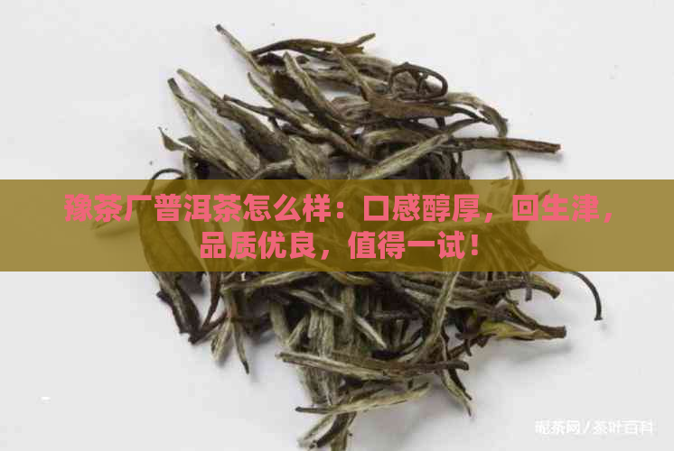 豫茶厂普洱茶怎么样：口感醇厚，回生津，品质优良，值得一试！