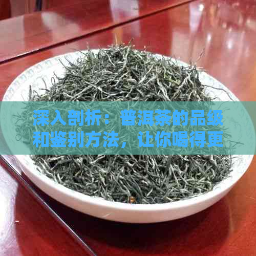 深入剖析：普洱茶的品级和鉴别方法，让你喝得更懂茶