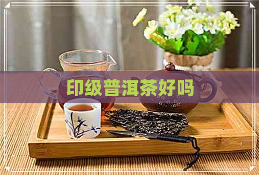 印级普洱茶好吗