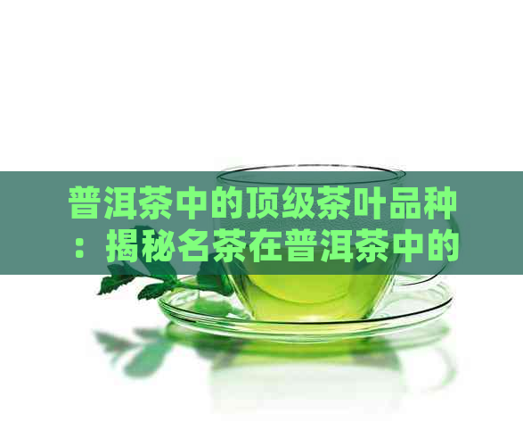 普洱茶中的顶级茶叶品种：揭秘名茶在普洱茶中的独特地位