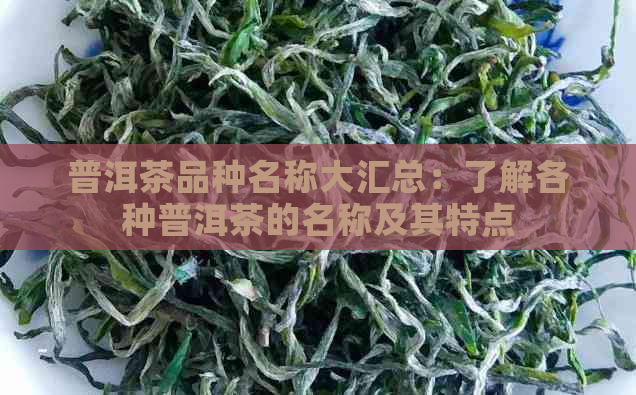 普洱茶品种名称大汇总：了解各种普洱茶的名称及其特点