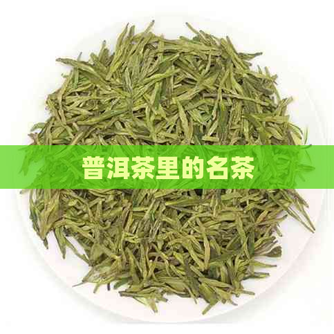 普洱茶里的名茶