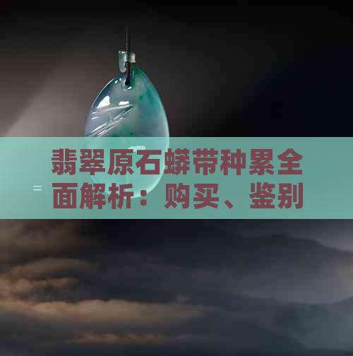 翡翠原石蟒带种累全面解析：购买、鉴别、保养与投资指南