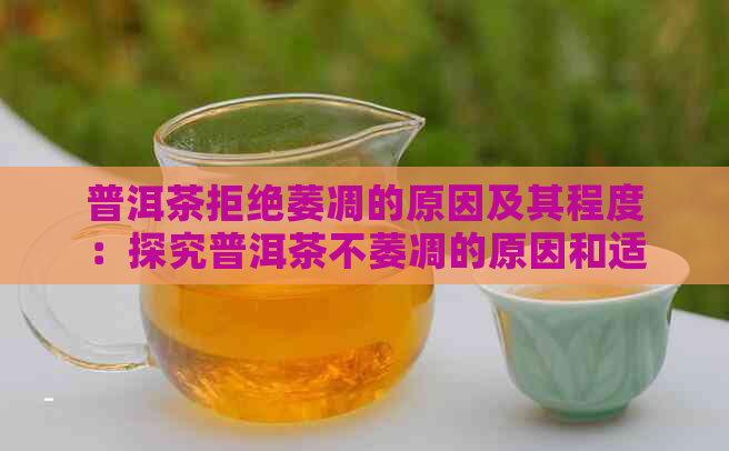 普洱茶拒绝萎凋的原因及其程度：探究普洱茶不萎凋的原因和适合的萎凋程度。