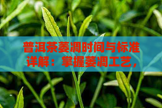 普洱茶萎凋时间与标准详解：掌握萎凋工艺，品尝更美味的普洱茶