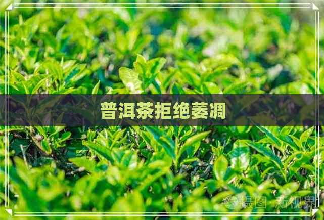 普洱茶拒绝萎凋