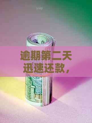 逾期第二天迅速还款，保持良好信用