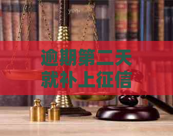 逾期第二天就补上了：还款重要性及时补救措全解析