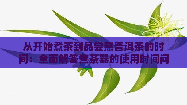 从开始煮茶到品尝熬普洱茶的时间：全面解答煮茶器的使用时间问题