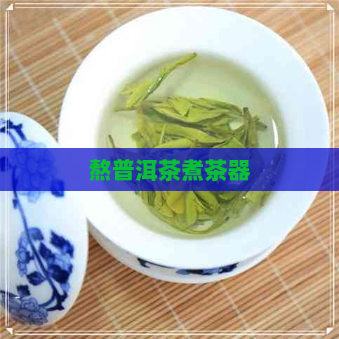 熬普洱茶煮茶器