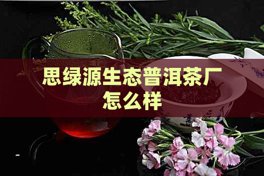 思绿源生态普洱茶厂怎么样