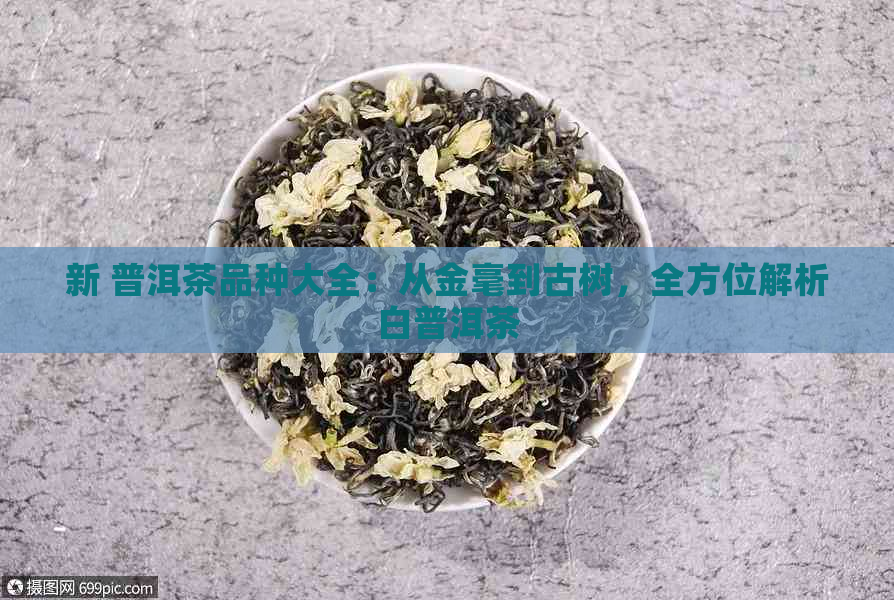 新 普洱茶品种大全：从金毫到古树，全方位解析白普洱茶