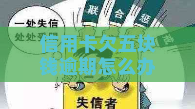 信用卡欠五块钱逾期怎么办理分期还款