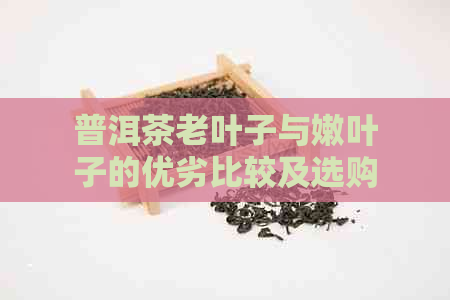 普洱茶老叶子与嫩叶子的优劣比较及选购建议