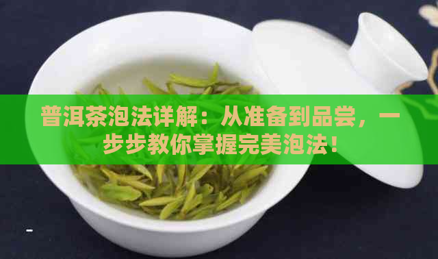 普洱茶泡法详解：从准备到品尝，一步步教你掌握完美泡法！