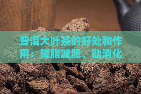 普洱大叶茶的好处和作用：降脂减肥、助消化、抗氧化、降低血压、抗衰老等。