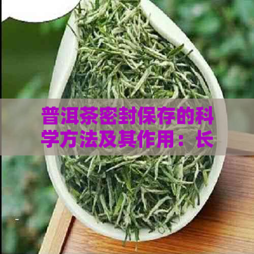 普洱茶密封保存的科学方法及其作用：长茶叶新度与保持香气的关键